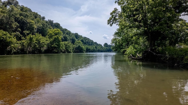4534 Bayou Access Rd, Mammoth Spring, AR 72554 - water view with a forest