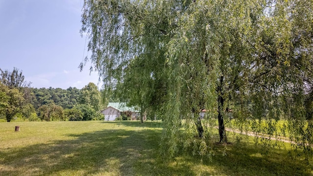 4534 Bayou Access Rd, Mammoth Spring, AR 72554 - view of green lawn featuring a wooded view