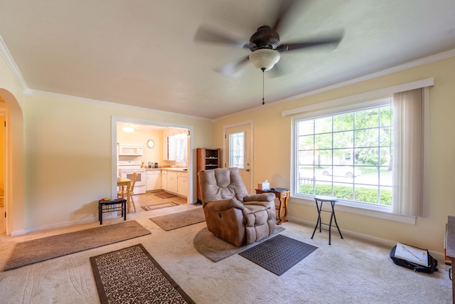 220 E Portland St, Springfield, MO 65807 - living room featuring arched walkways, ornamental molding, ceiling fan, and light colored carpet