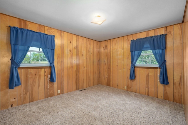 13762 State Highway Z, Verona, MO 65769 - carpeted empty room featuring plenty of natural light and wood walls