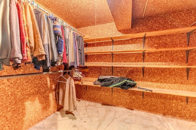 10675 State Highway Aa, Grovespring, MO 65662 - view of spacious closet