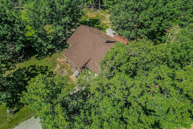 10675 State Highway Aa, Grovespring, MO 65662 - view of subject property