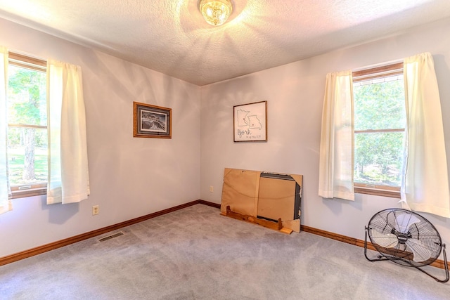 10675 State Highway Aa, Grovespring, MO 65662 - carpeted empty room with a textured ceiling