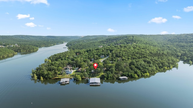100 Sunshine Ln, Branson, MO 65616 - photo 2
