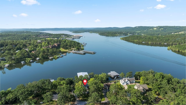 100 Sunshine Ln, Branson, MO 65616 - photo 33