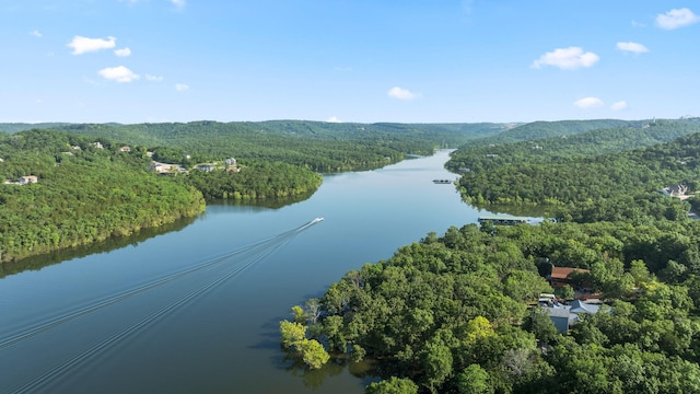 100 Sunshine Ln, Branson, MO 65616 - photo 29