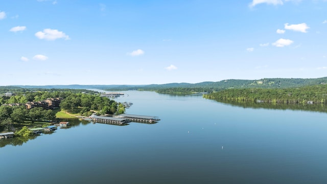 100 Sunshine Ln, Branson, MO 65616 - photo 30