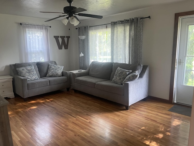 428 N Olive St, Marshfield, MO 65706 - living area featuring wood finished floors and a ceiling fan