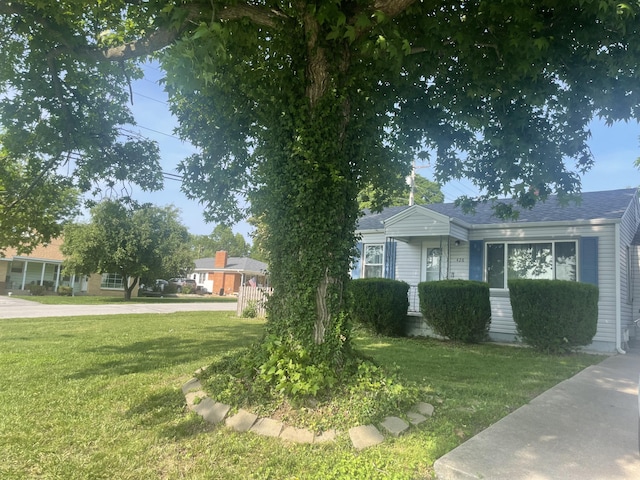 428 N Olive St, Marshfield, MO 65706 - view of front facade featuring a front yard and roof with shingles