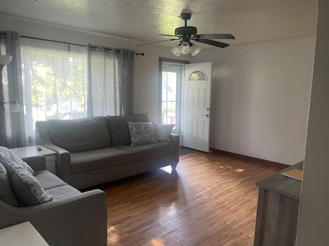 428 N Olive St, Marshfield, MO 65706 - living room featuring ceiling fan, wood finished floors, and a textured ceiling