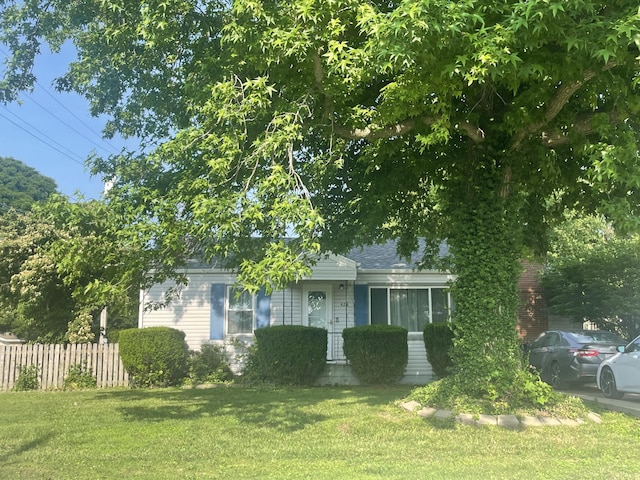 428 N Olive St, Marshfield, MO 65706 - view of property hidden behind natural elements