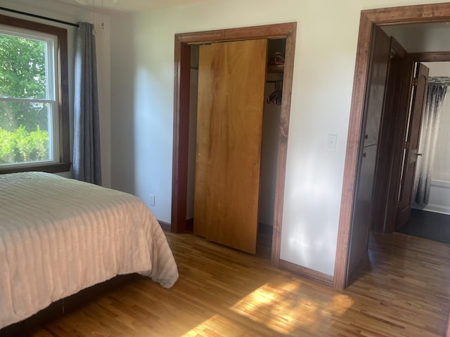428 N Olive St, Marshfield, MO 65706 - bedroom with wood finished floors and multiple windows