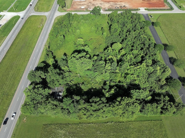 3897 W Lewis And Clark Expy, Rogersville, MO 65742