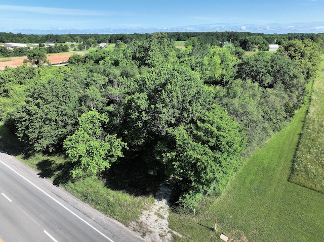 3897 W Lewis And Clark Expy, Rogersville, MO 65742