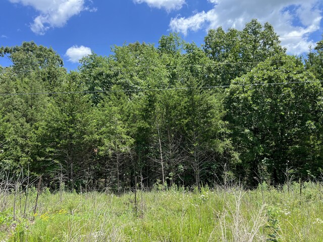 000 Gardner Hill Ln, Fordland, MO 65652 - photo 4
