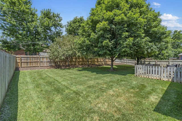 711 N Milton Dr, Nixa, MO 65714 - photo 2
