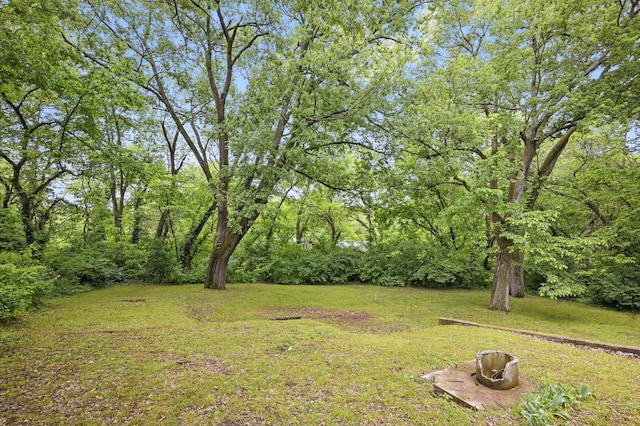 7953 County Lane 192, Carthage, MO 64836 - photo 41