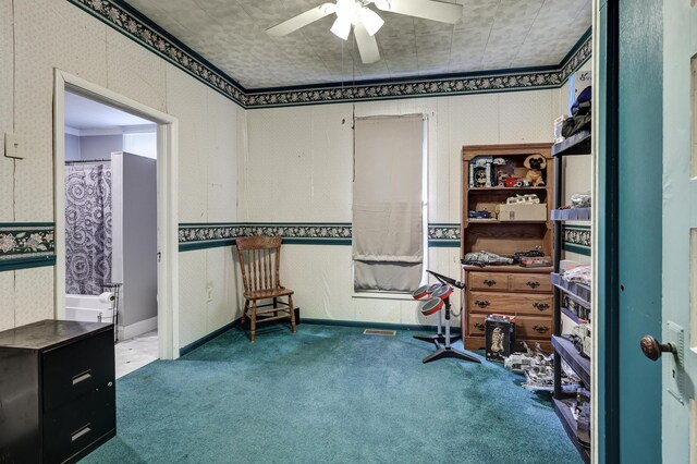 7953 County Lane 192, Carthage, MO 64836 - photo 75