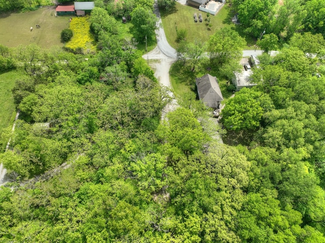 7953 County Lane 192, Carthage, MO 64836 - photo 50
