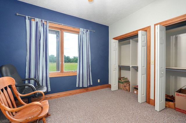 9215 W Farm Road 94, Willard, MO 65781 - photo 38
