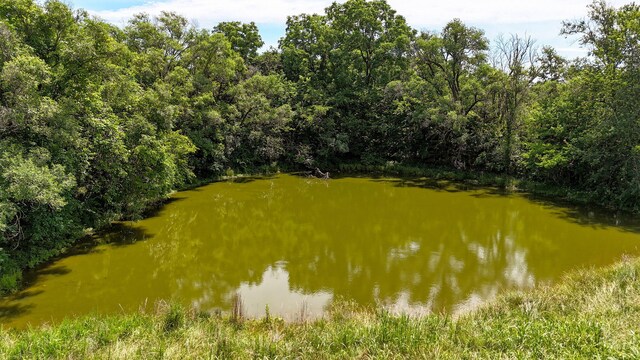 9215 W Farm Road 94, Willard, MO 65781 - photo 60