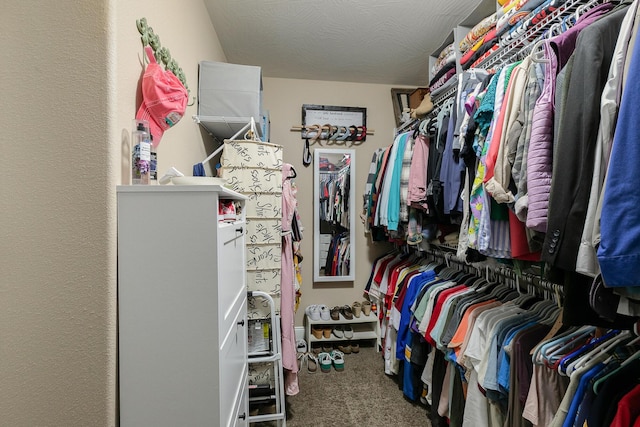 1925 E Costa Mesa Ct, Ozark, MO 65721 - spacious closet with carpet floors