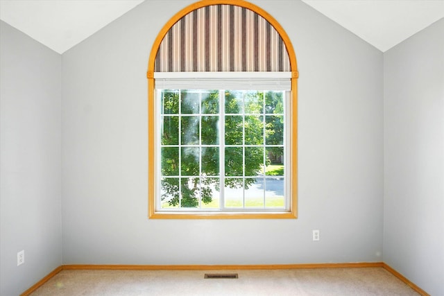 4939 S Prairie View Ave, Battlefield, MO 65619 - carpeted spare room with vaulted ceiling