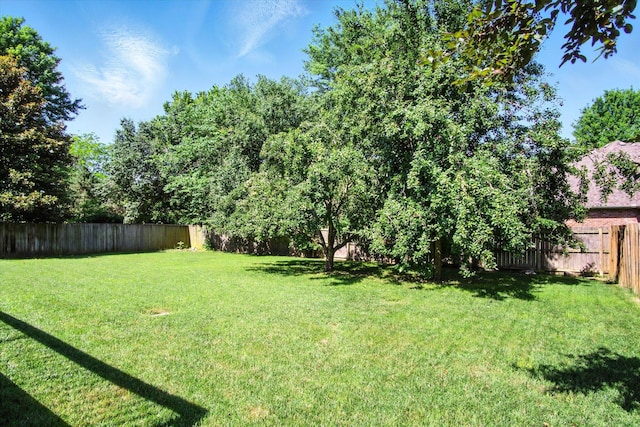 4939 S Prairie View Ave, Battlefield, MO 65619 - view of fenced backyard