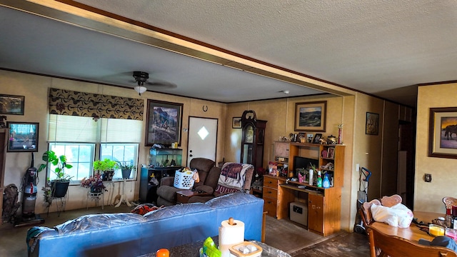 18080 County Road 361, Preston, MO 65732 - photo 18