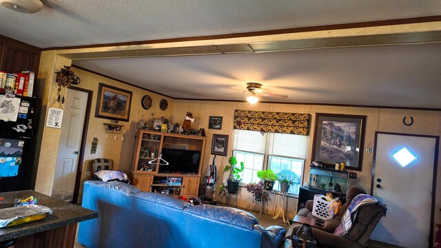 18080 County Road 361, Preston, MO 65732 - photo 19