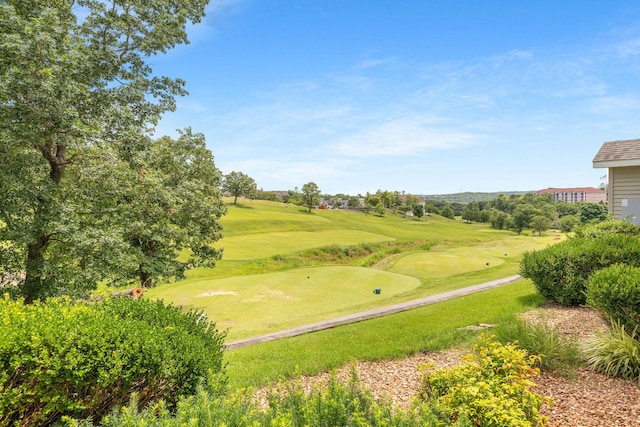 300 Glory Rd Unit 2, Branson, MO 65616 - view of property's community with view of golf course, a putting green, and a yard