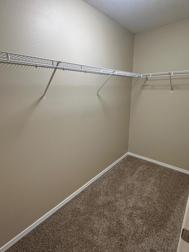 506 Silverleaf Ln, Willard, MO 65781 - photo 11