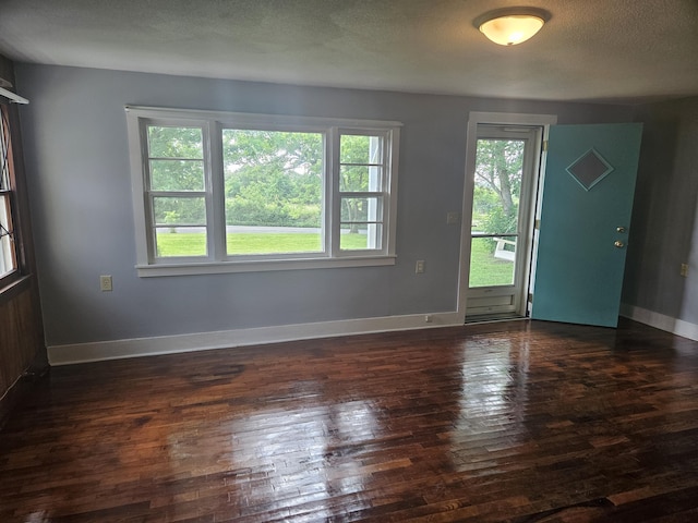 1713 Wall Rd, Mountain Grove, MO 65711 - entryway featuring plenty of natural light and dark wood finished floors