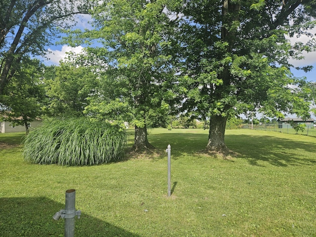 1713 Wall Rd, Mountain Grove, MO 65711 - view of yard