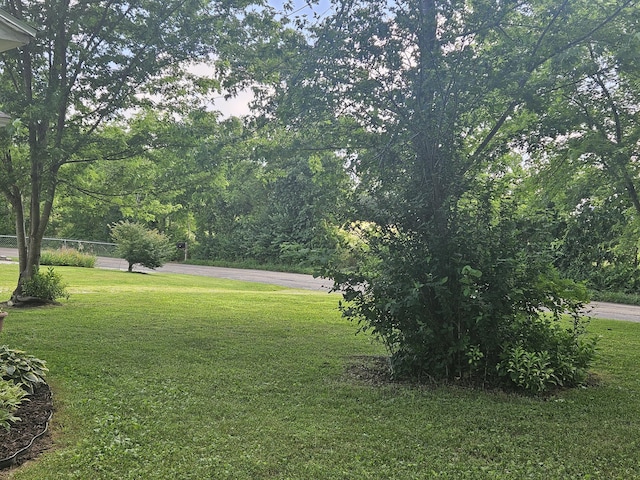 1713 Wall Rd, Mountain Grove, MO 65711 - view of yard