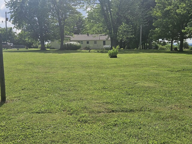 1713 Wall Rd, Mountain Grove, MO 65711 - view of grassy yard