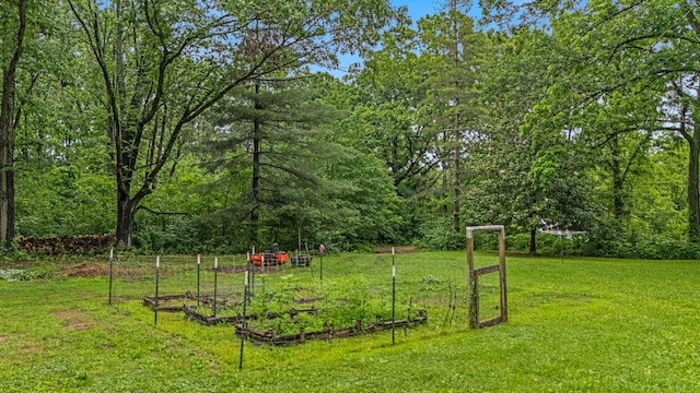 1215 Lanton Rd, West Plains, MO 65775 - view of green lawn with a vegetable garden and a wooded view