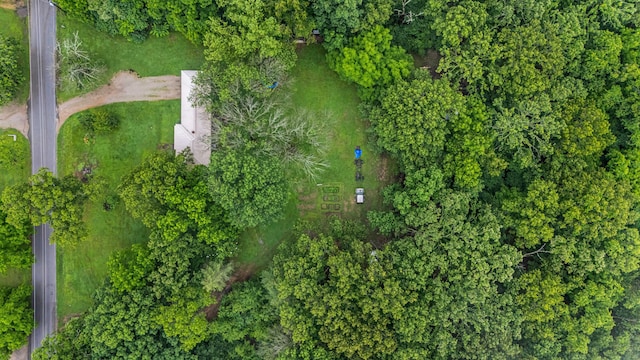 1215 Lanton Rd, West Plains, MO 65775 - aerial overview of property's location