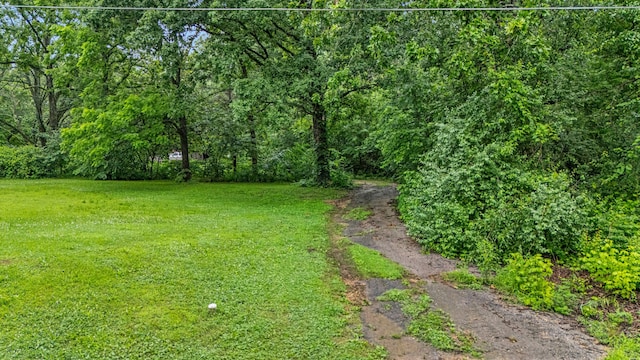 1215 Lanton Rd, West Plains, MO 65775 - view of grassy yard