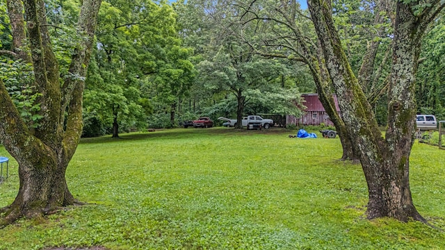 1215 Lanton Rd, West Plains, MO 65775 - view of grassy yard