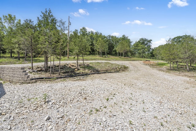 000 Bray Mines Rd, Oldfield, MO 65720