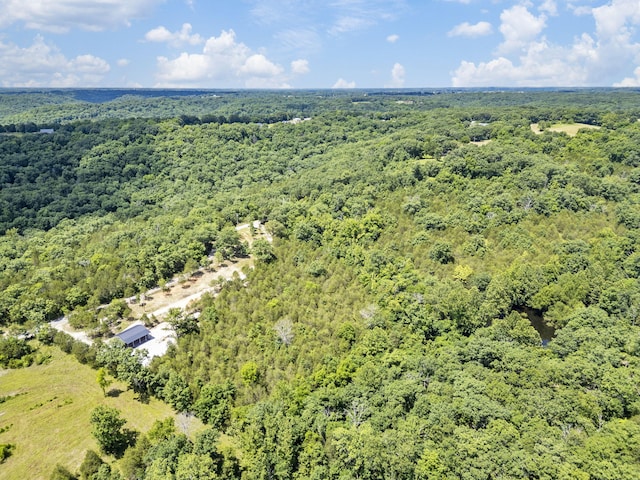 000 Bray Mines Rd, Oldfield, MO 65720
