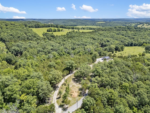 000 Bray Mines Rd, Oldfield, MO 65720