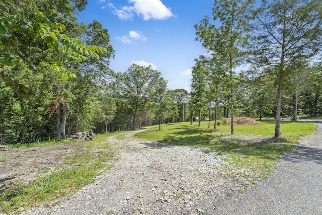 000 Bray Mines Rd, Oldfield, MO 65720