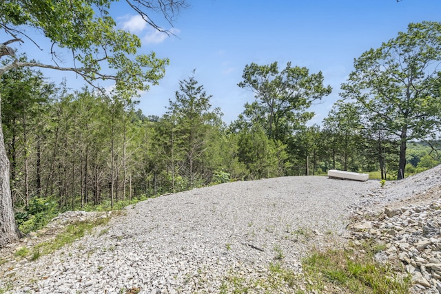000 Bray Mines Rd, Oldfield, MO 65720