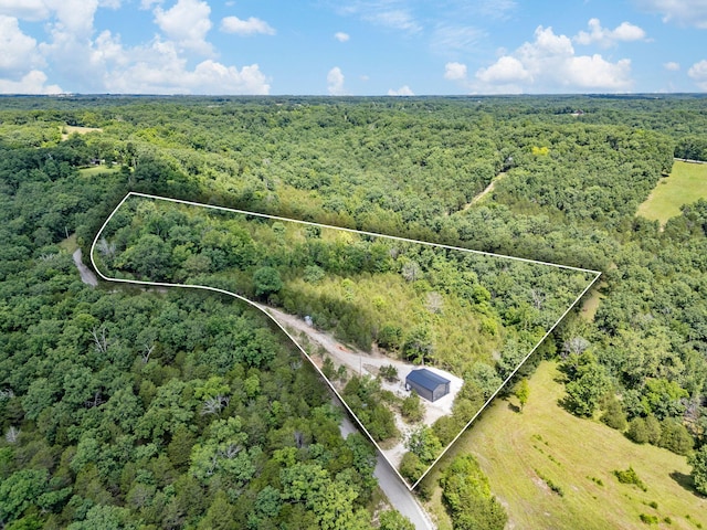 000 Bray Mines Rd, Oldfield, MO 65720