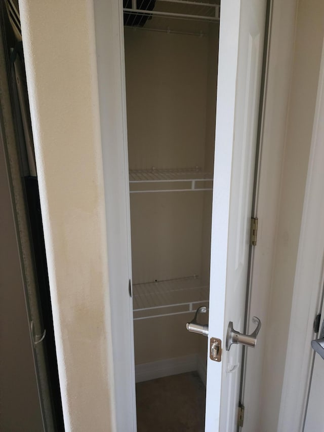 180 Grace Chapel Rd Unit 228, Blue Eye, MO 65611 - view of closet