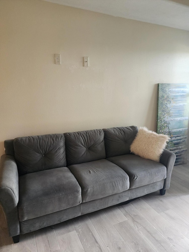 180 Grace Chapel Rd Unit 228, Blue Eye, MO 65611 - living area featuring light wood-style flooring