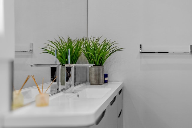 6298 E Summit View Dr, Springfield, MO 65809 - bathroom view of a sink