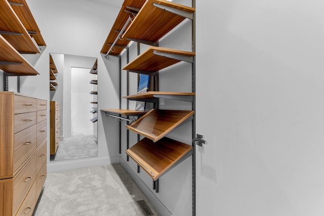 6298 E Summit View Dr, Springfield, MO 65809 - walk in closet with light colored carpet